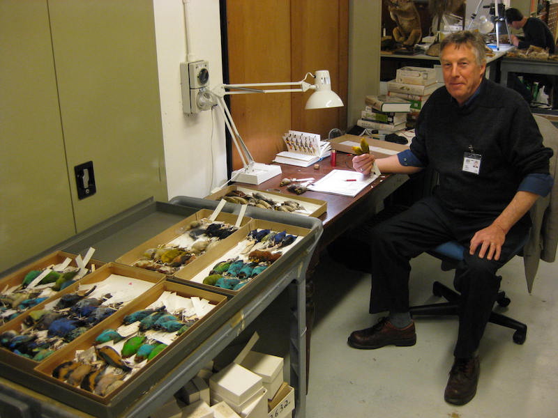 Out and about; the Museum Victoria volunteer